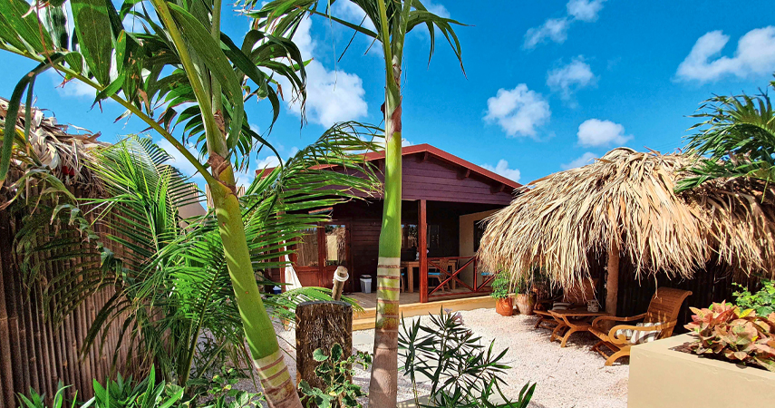 Bamboo-Bonaire-Boutique-Resort-view-hotel